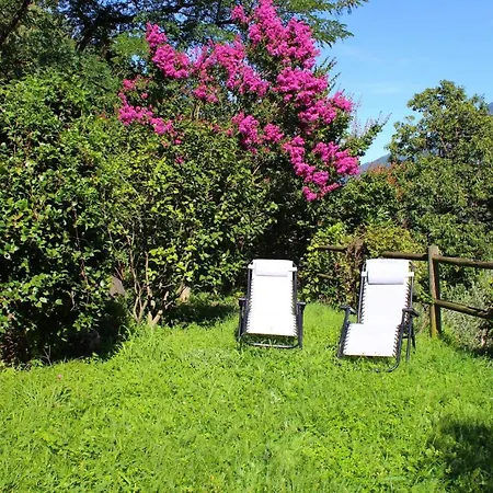 Vakantiehuis Rustico Ulivi - In Bucht Piona Colico